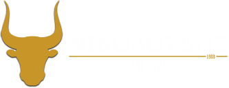 Nikoloudis Logo